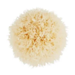 MAC 221S Mini Tapered Blending Brush -Fashion Cosmetics Store 11641131 1564550179221954