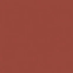 Yves Saint Laurent Rouge Pur Couture The Slim Lipstick - 416 -Fashion Cosmetics Store 13183144 2844900279491234