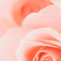 Clé De Peau Beauté Lip Glorifier (Various Shades) -Fashion Cosmetics Store 13316842 5004901054701356