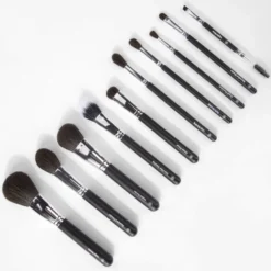BH Cosmetics Ultimate Essentials - 10 Piece Face & Eye Brush Set With Bag -Fashion Cosmetics Store 13873084 1754964567892237