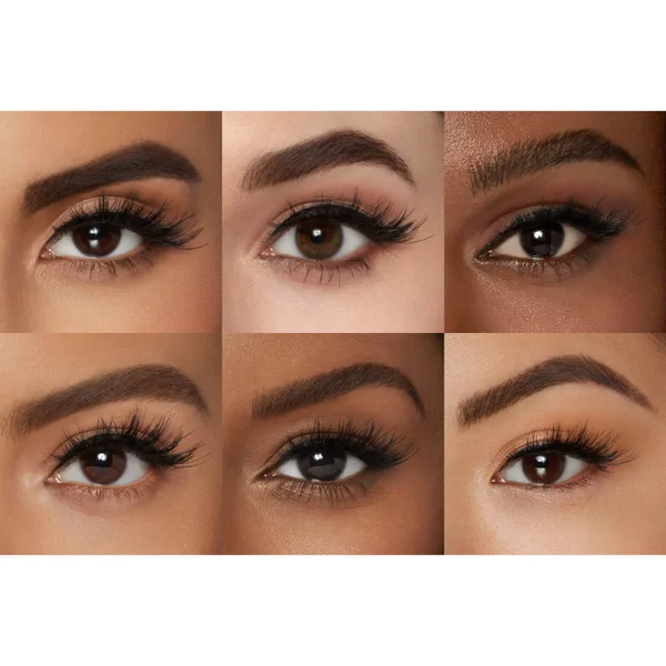 Lilly Lashes Luxury Synthetic Lite - Allure 6 Lilly Lashes Luxury Synthetic Lite - Allure - Image 4